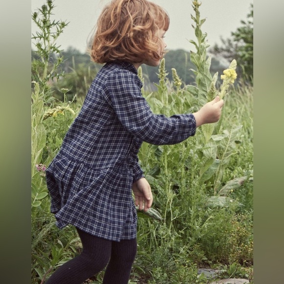 RARE Doen kids Bleu cottage dress in plaid NWT - Picture 3 of 8